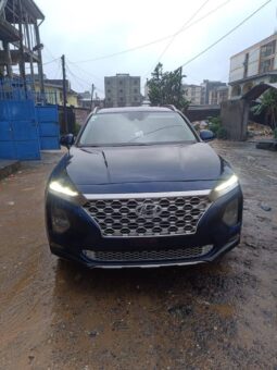 
										Hyundai Santa Fe 2021 occasion Douala full									