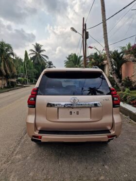 Toyota Land cruiser  2023 Douala