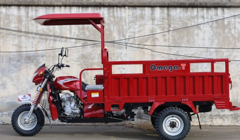 
								Tricycle OmegaT OM200ZH-2 Douala full									