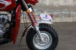 
										Tricycle OmegaT OM200ZH-2 Douala full									