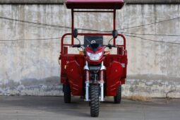 
										Tricycle OmegaT OM200ZH-2 Douala full									