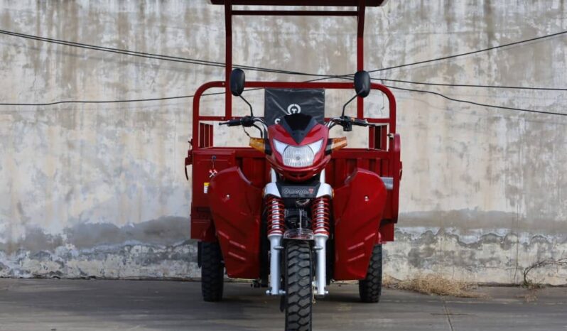 
								Tricycle OmegaT OM200ZH-2 Douala full									