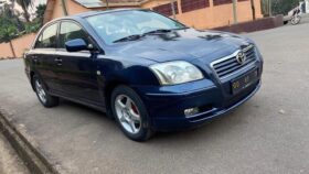 Avensis tête de cochon Yaoundé